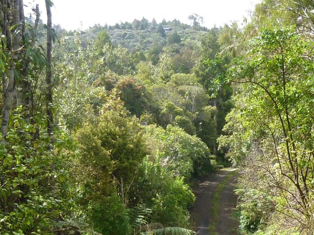 Fern Ridge Hideaway Villa Victoria Valley Dış mekan fotoğraf